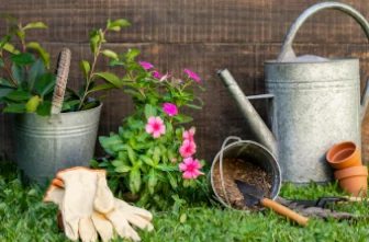 Garten für Hausverkauf vorbereiten